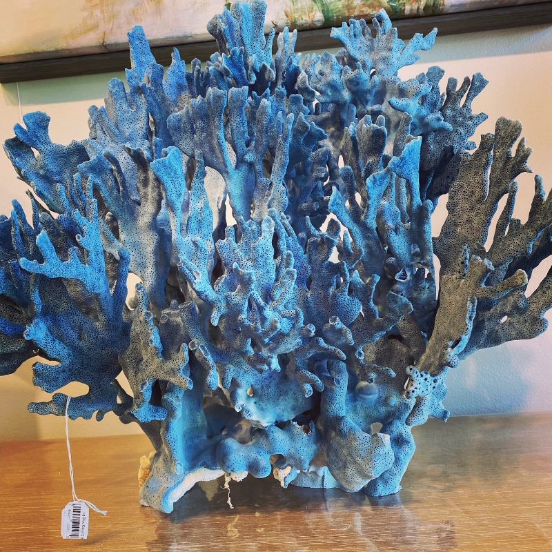 Real Coral - News from Laguna Design Center